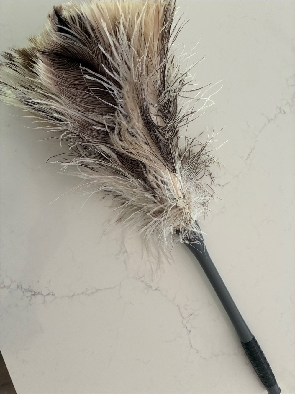 Feather Duster with Natural Beige & ostrich Plumes from FrontGate